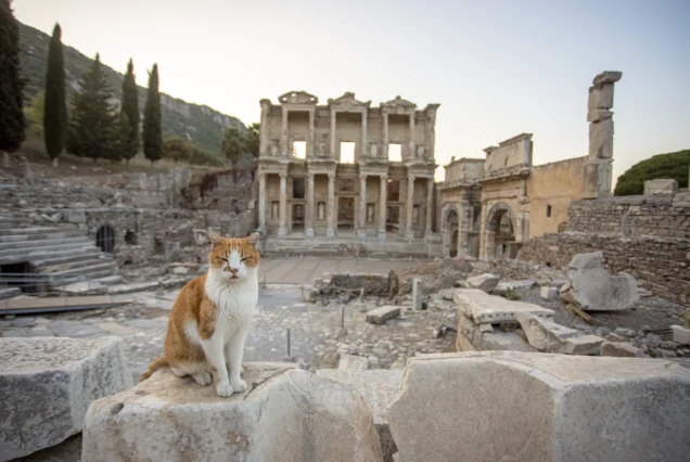 Ephesus-Tour-From-Istanbul-5